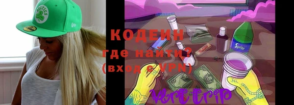 шишки Переславль-Залесский