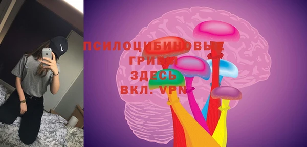 первитин Пестово