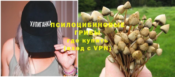 шишки Переславль-Залесский