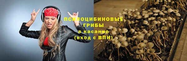 первитин Пестово