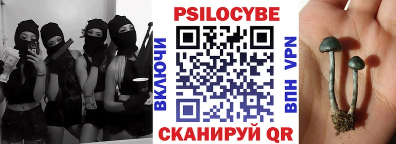МЕГА зеркало  Алейск  Галлюциногенные грибы MAGIC MUSHROOMS  купить наркотик 