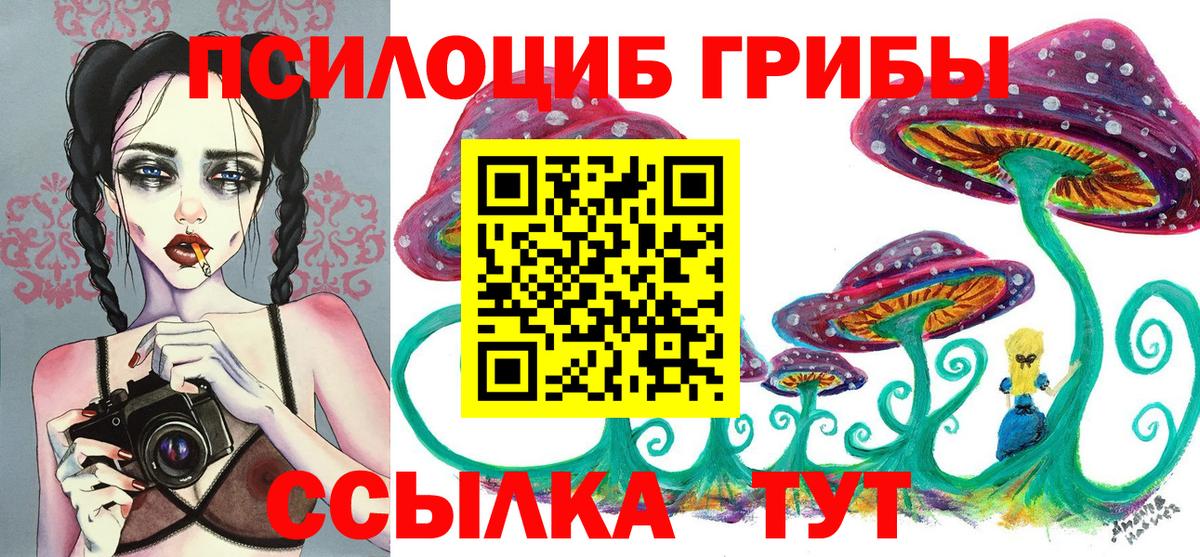 Алейск  Псилоцибиновые грибы прущие грибы  Вход с VPN 