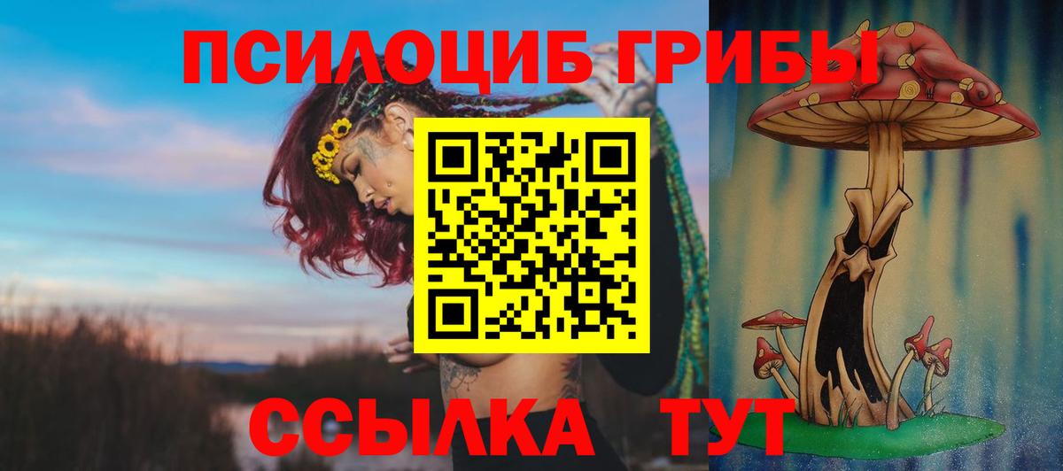 Галлюциногенные грибы GOLDEN TEACHER Алейск